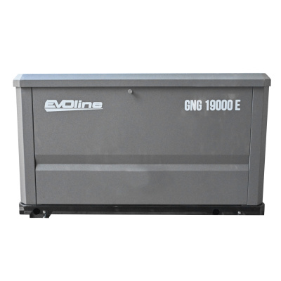 Выгодные условия покупки на генератор газовый evoline gng 19000 e